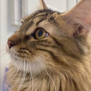 Meet your Posher, Chloe